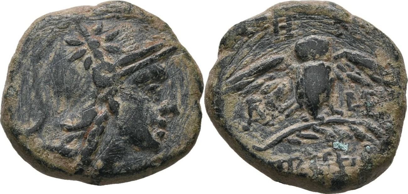 Pergamon Owl MAShops. saeen 4.8.20 a.jpg