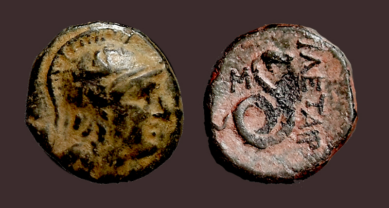 PergamonSerpent.jpg