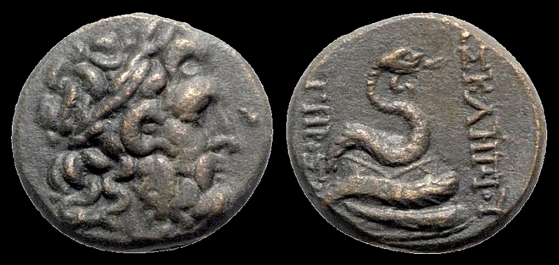 =PergamonSnake.jpg