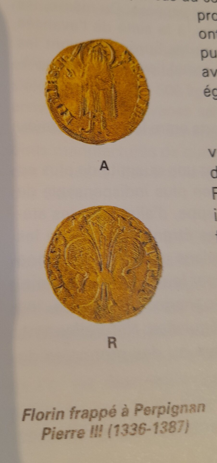 Perpignan florin.jpg