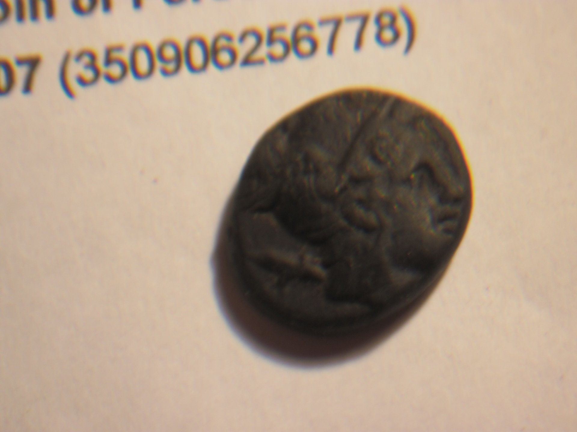 perseus 002.JPG