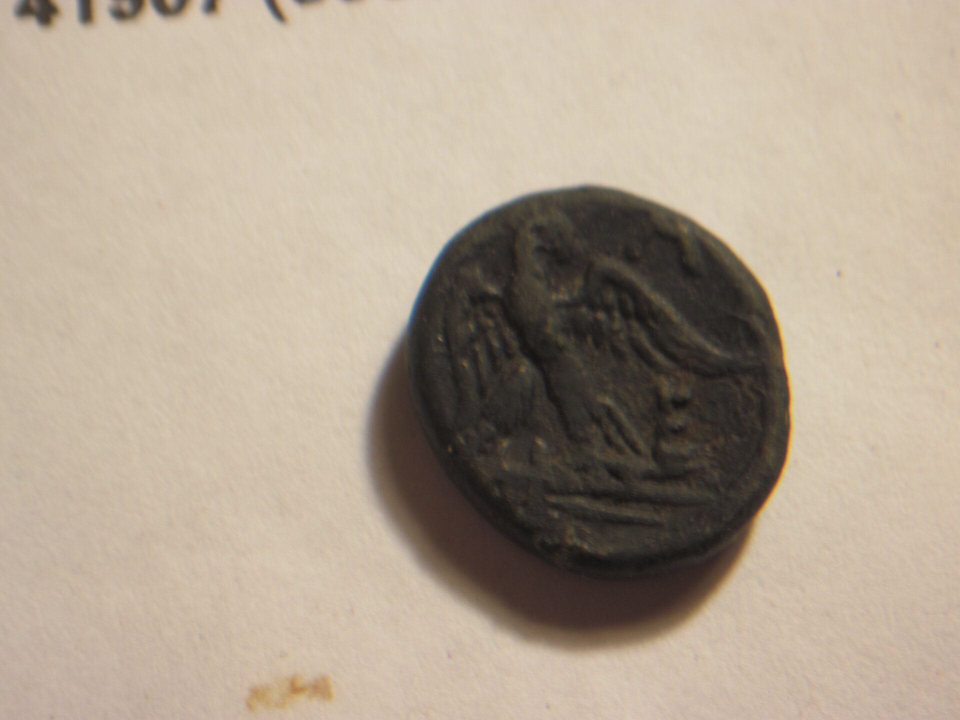 perseus 005.JPG