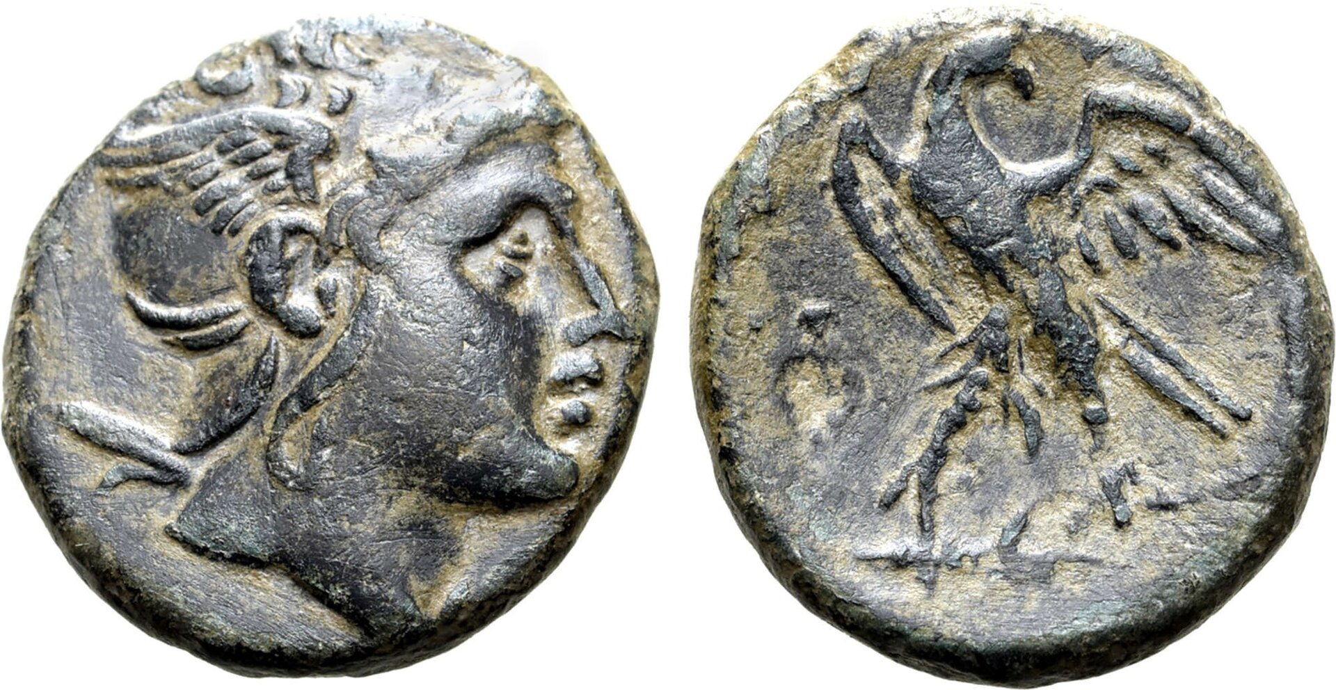 Perseus.jpg