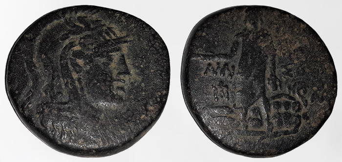 Perseus_(3).png
