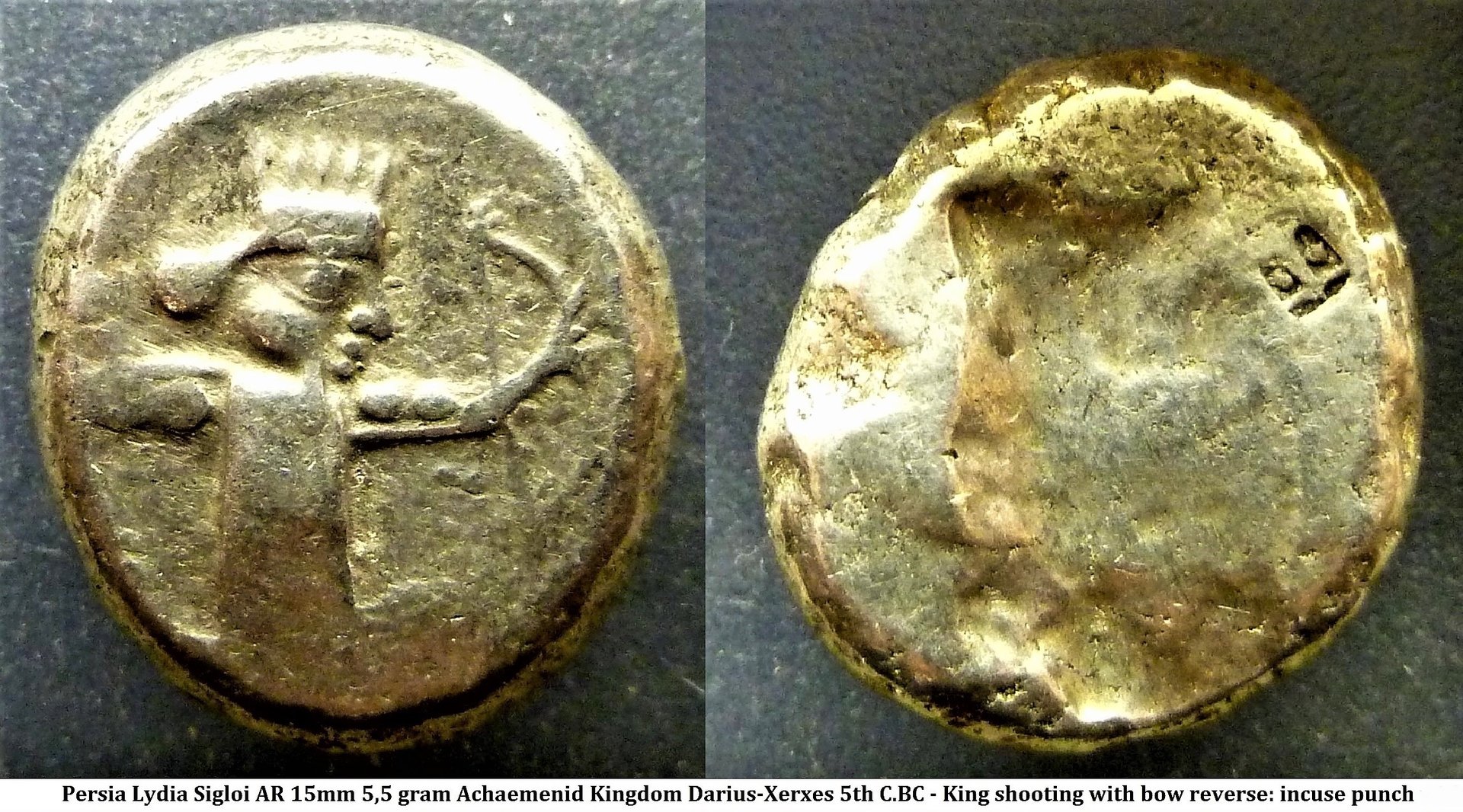 Persia Sigloi (2).JPG