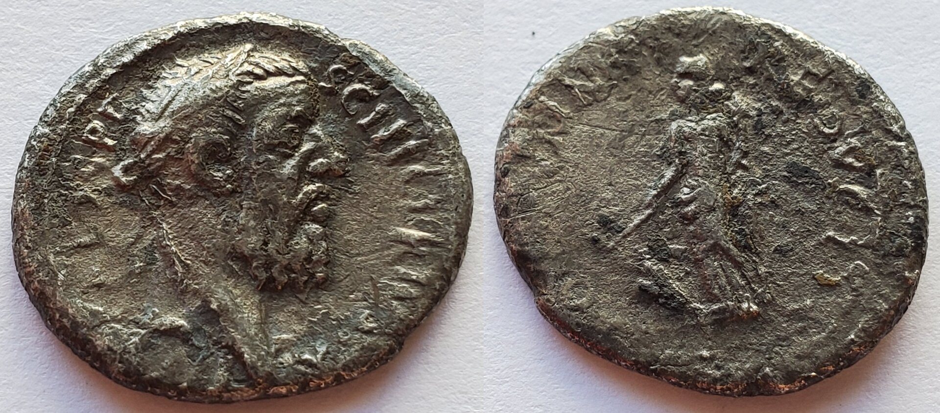Pescennius Niger denarius fortvnae redvci.jpg