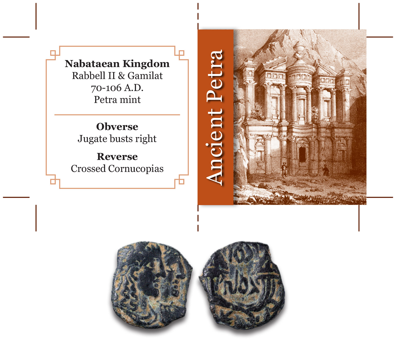 PETRA_COIN_N.jpg
