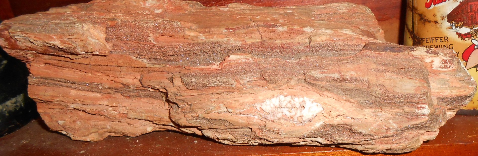 petrified wood.jpg