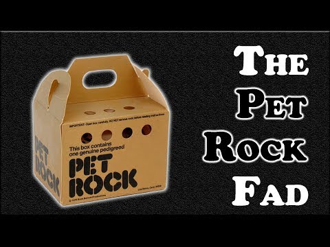 petrock.jpg