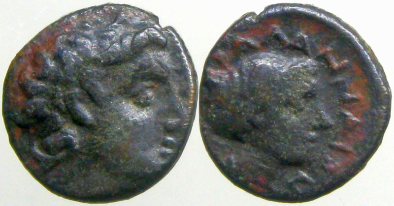 phalana.jpg