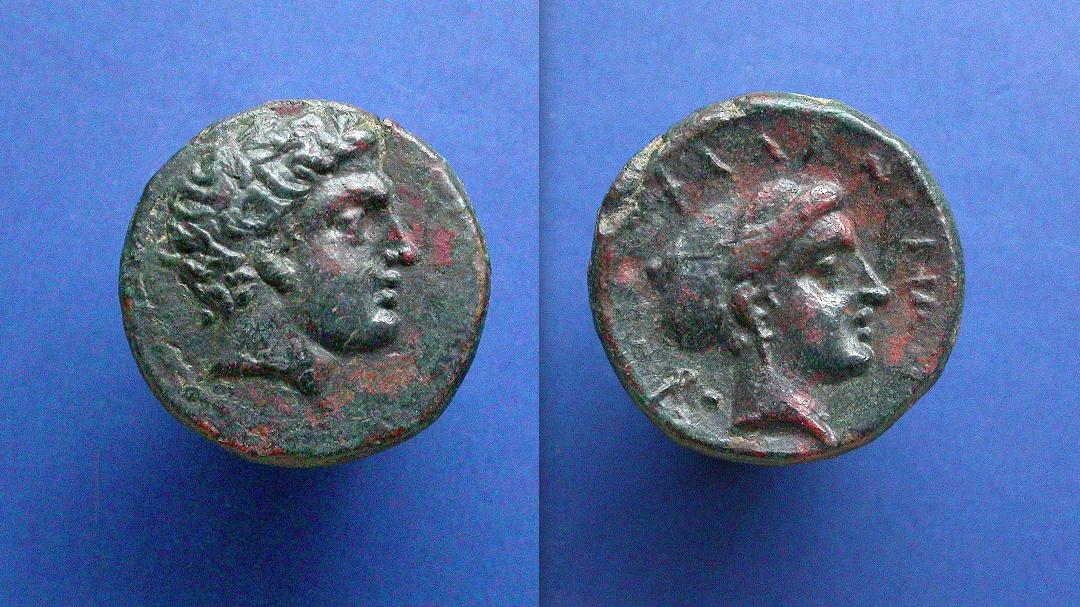 phalanna5.jpg