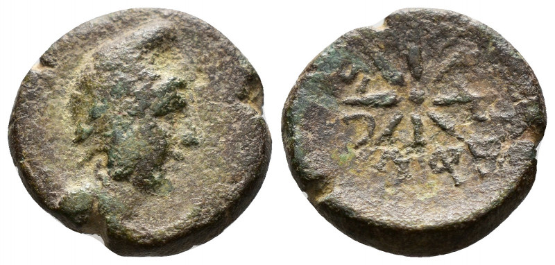 pharn1.jpg
