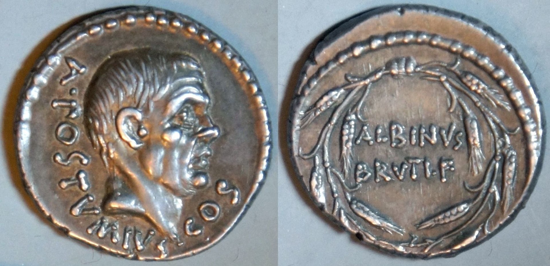 Phil (101).JPG