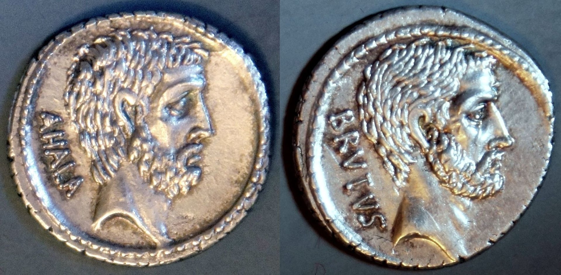 Phil (115).JPG
