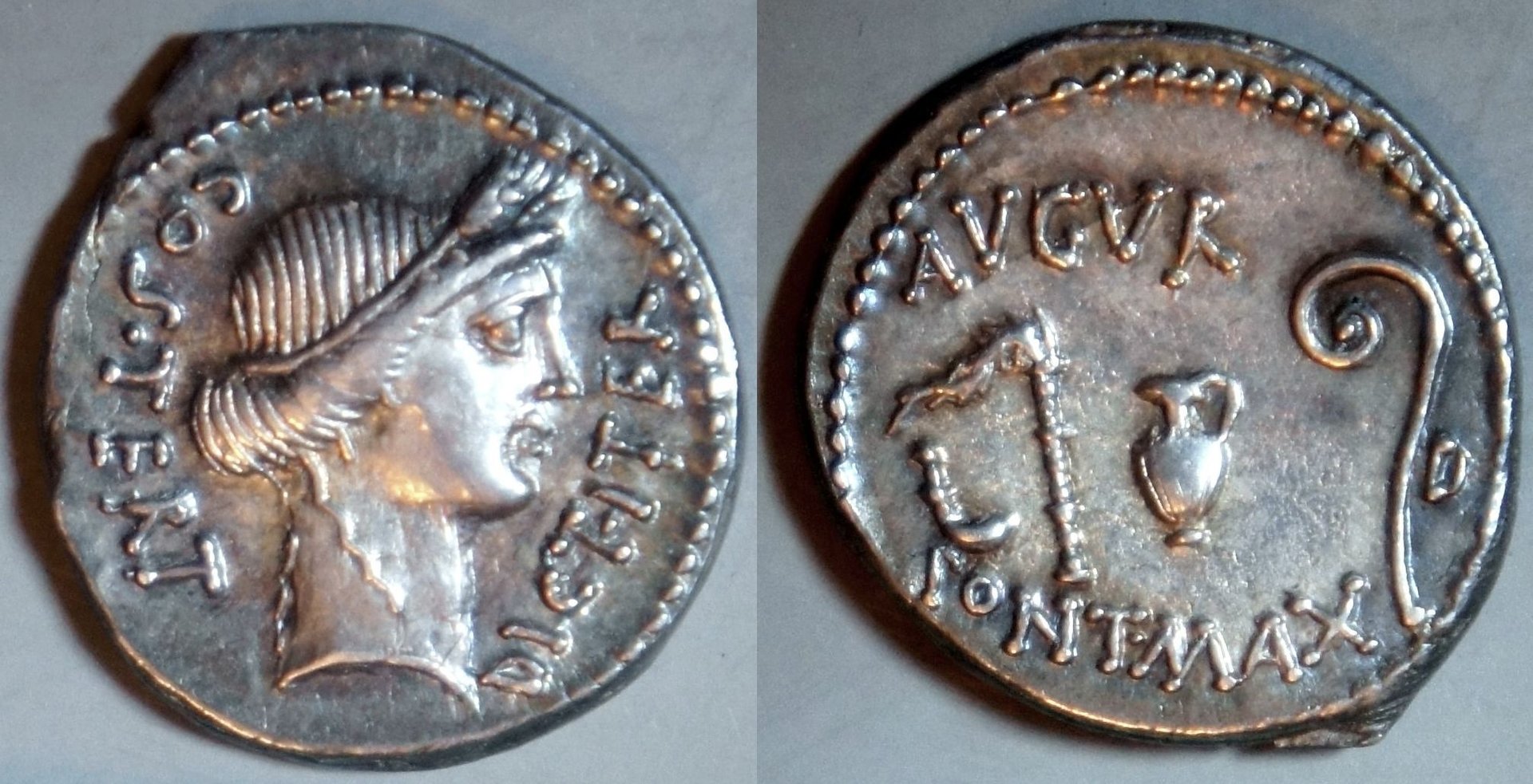 Phil (125).JPG