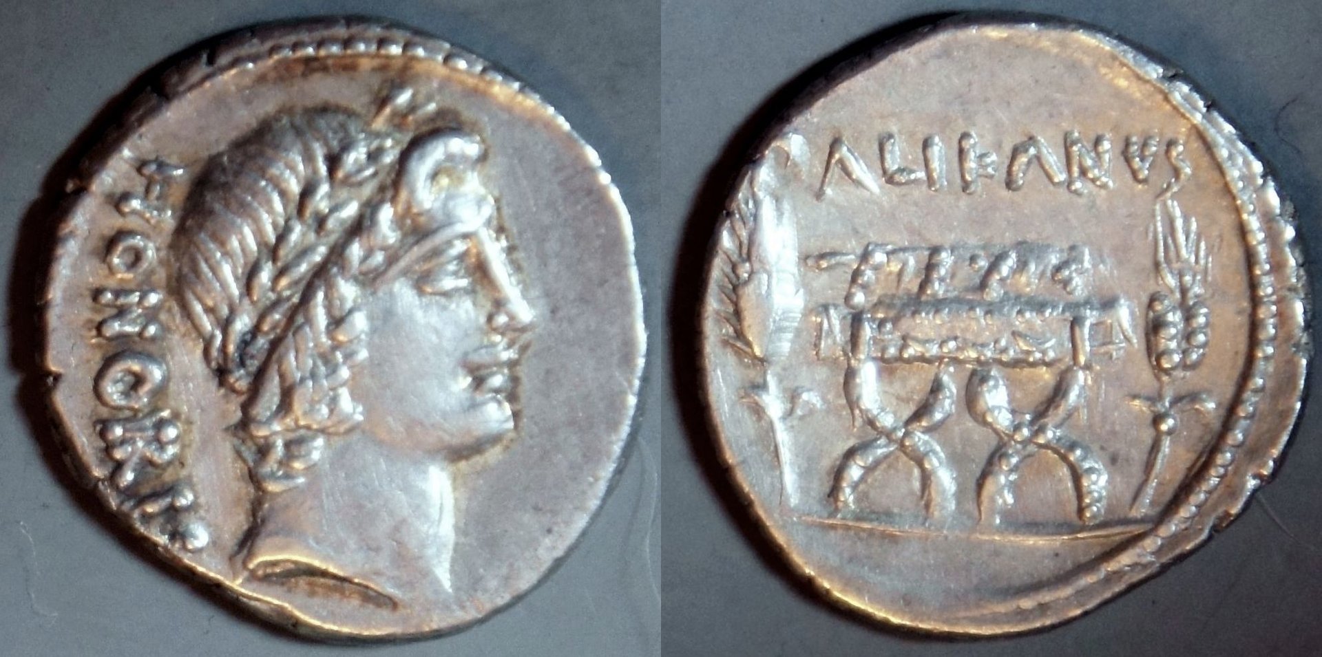 Phil (131).JPG