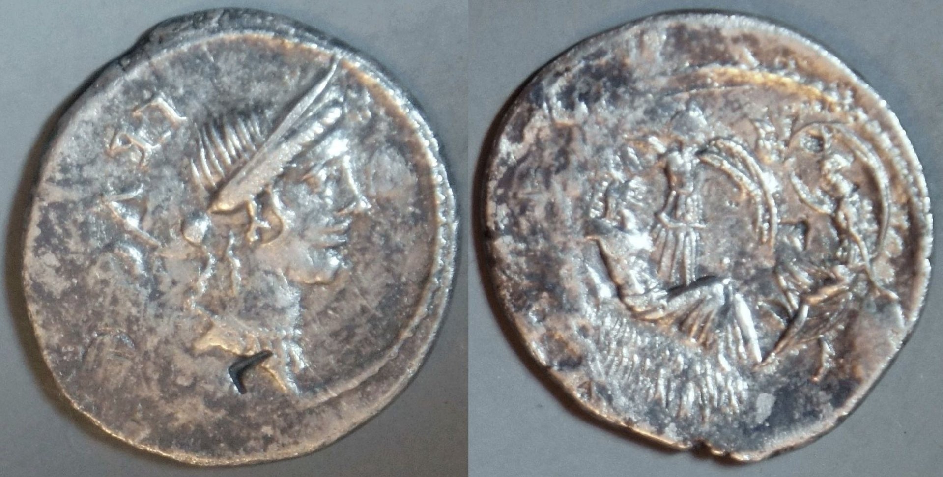 Phil (134).JPG