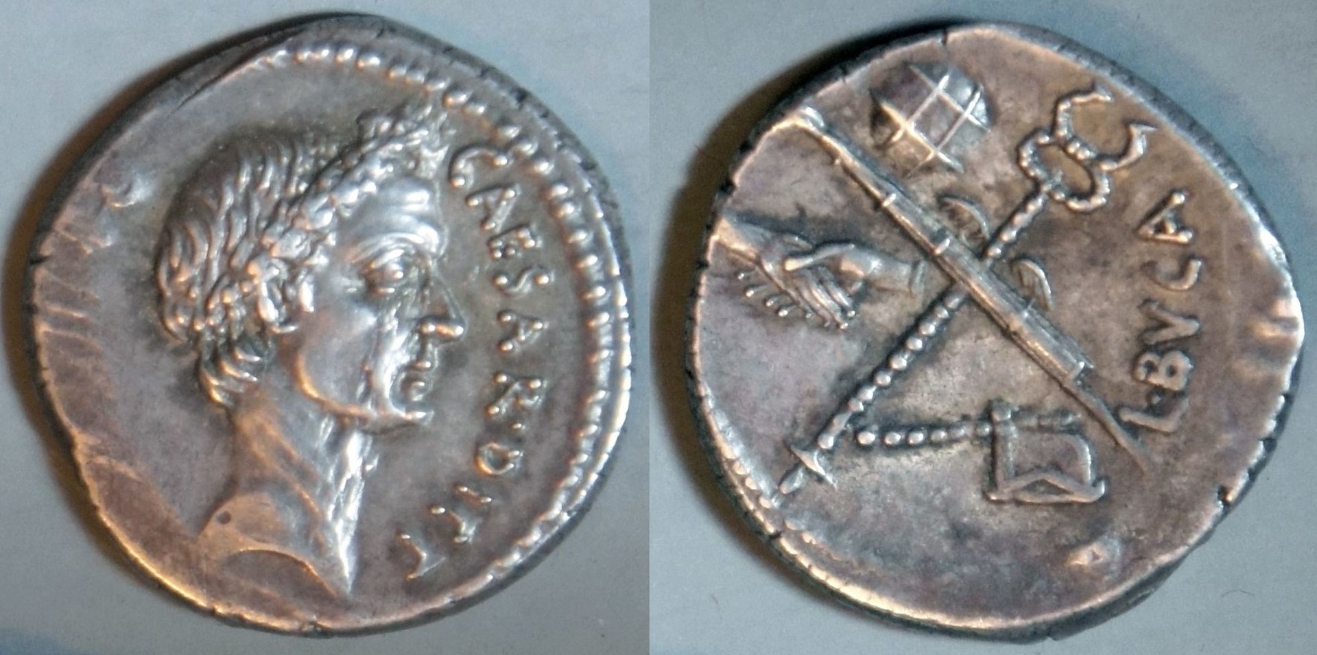 Phil (135).JPG