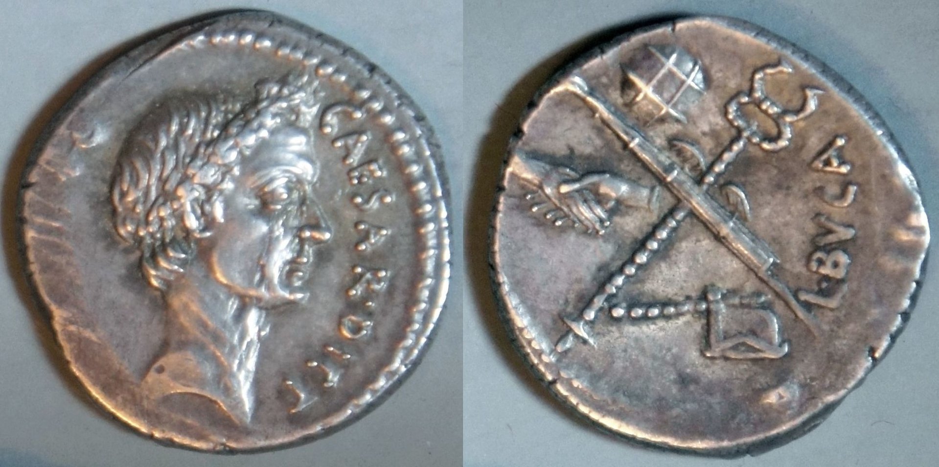 Phil (135).JPG