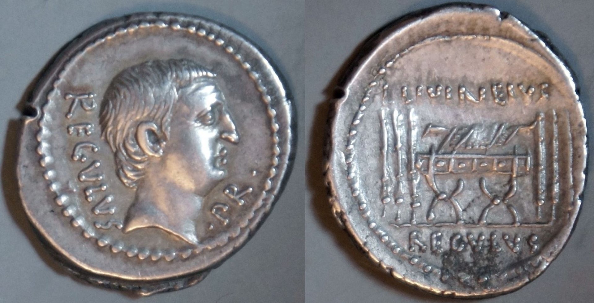 Phil (142).JPG