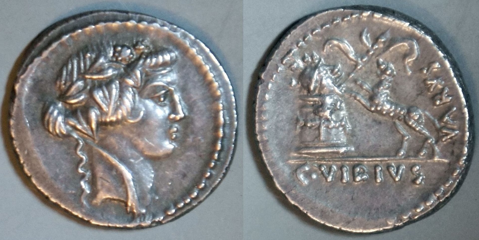 Phil (145).JPG