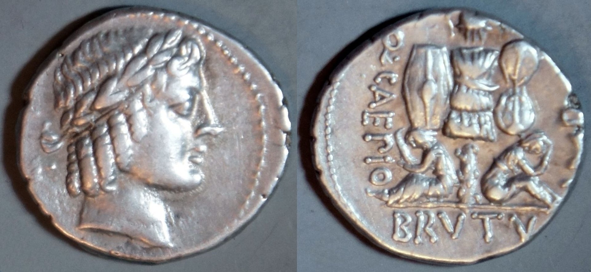 Phil (155).JPG