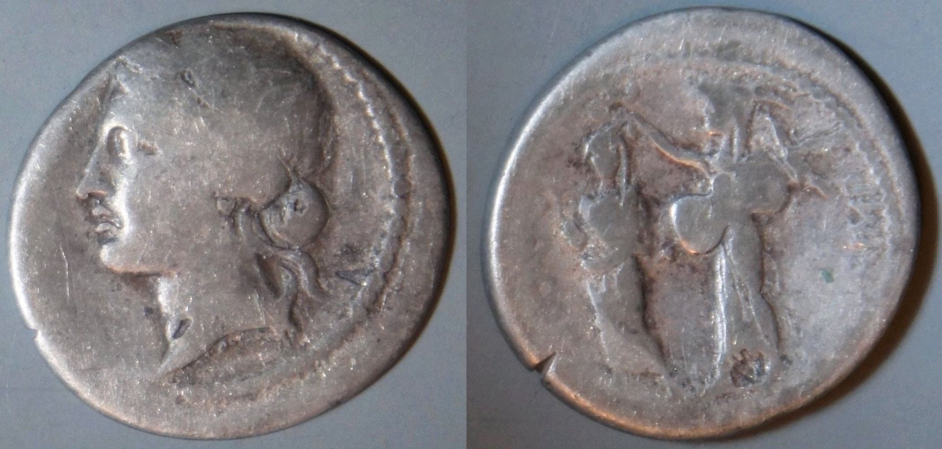 Phil (157).JPG