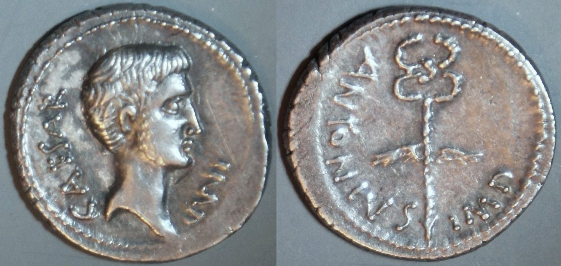 Phil (160).JPG
