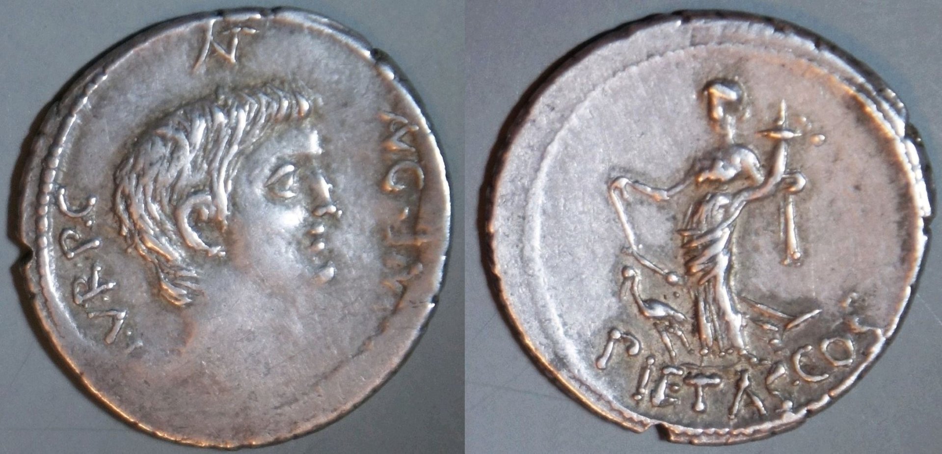 Phil (163).JPG