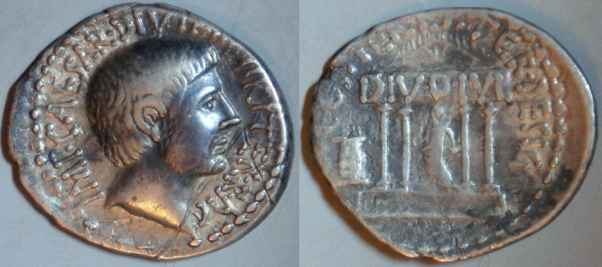 Phil (169).JPG