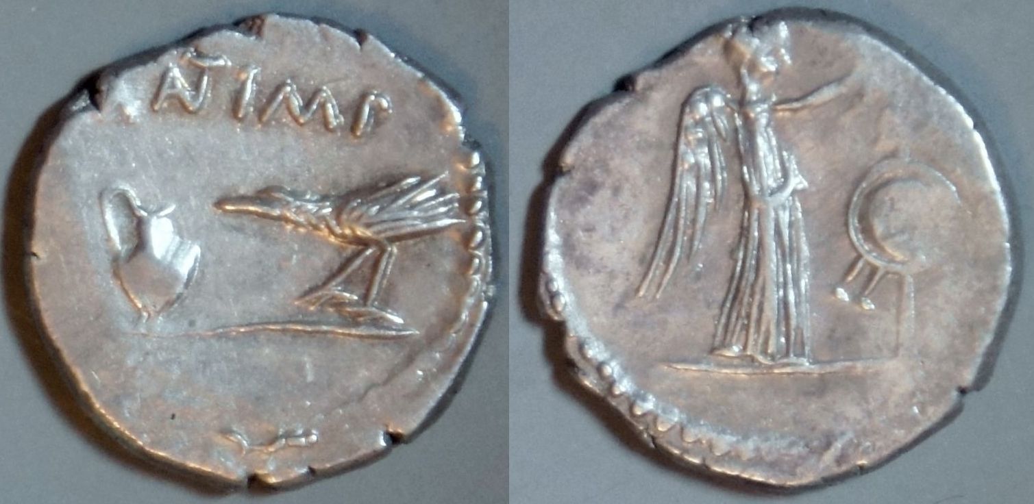 Phil (175).JPG