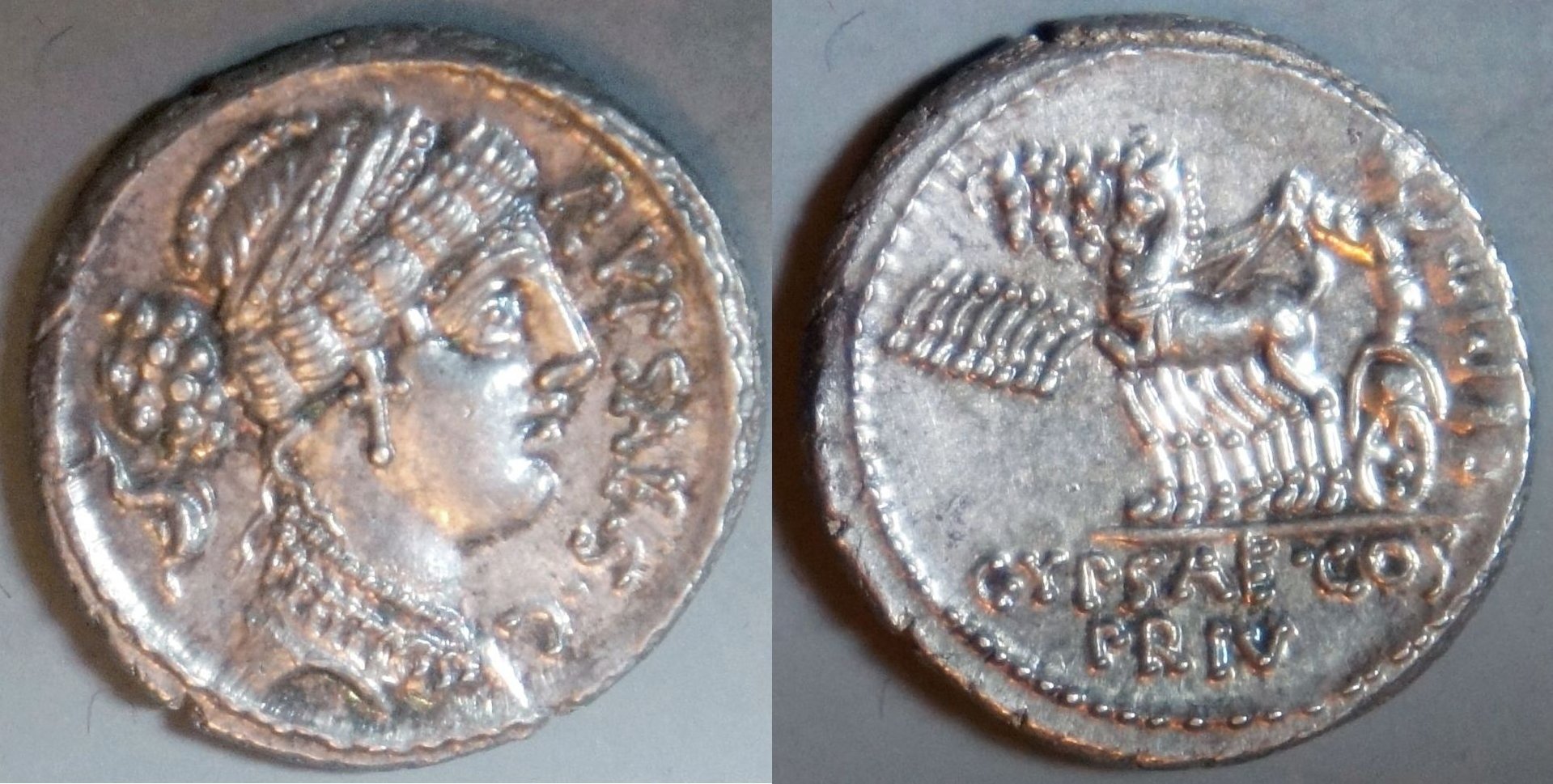 Phil (176).JPG