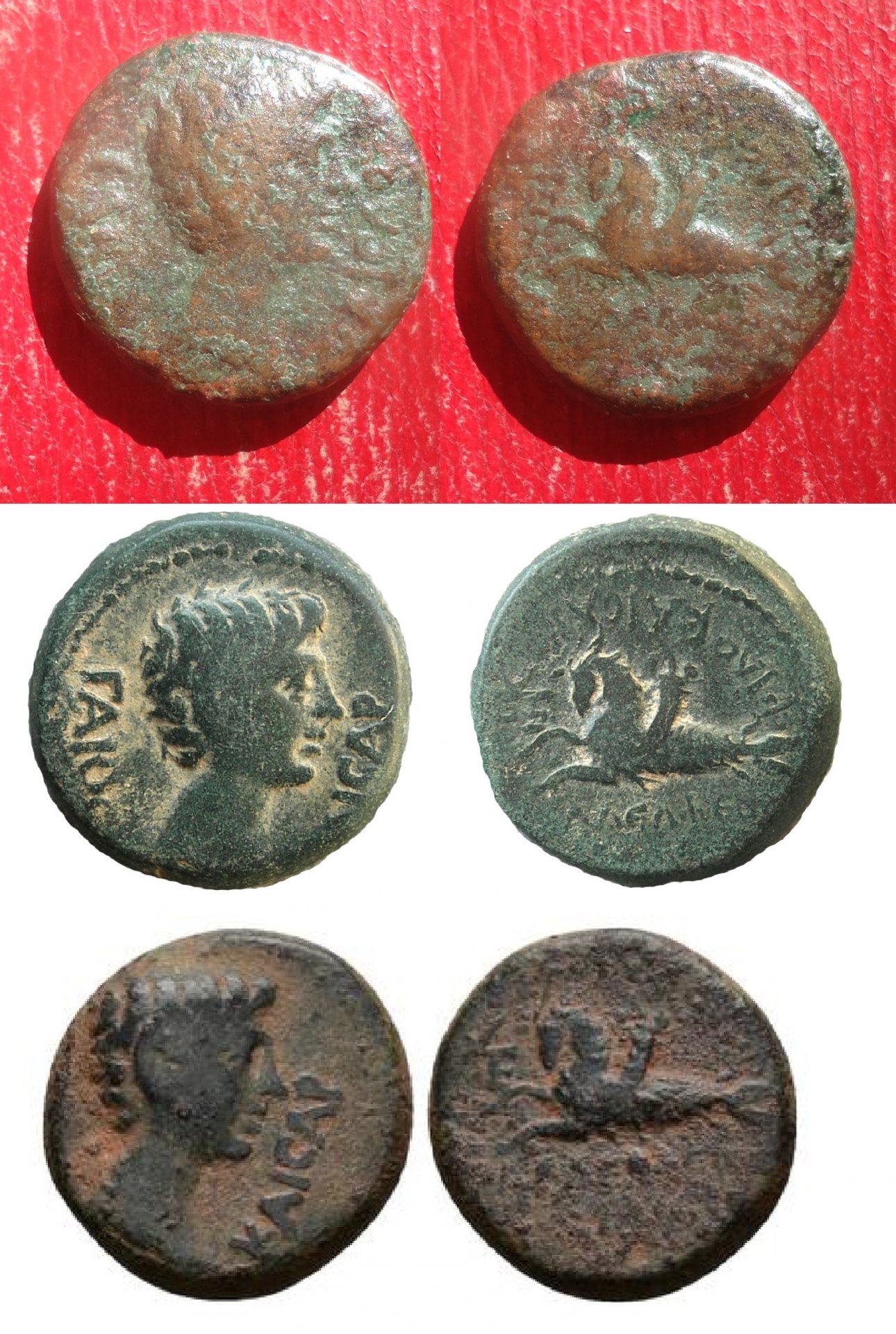 Philadelphia, Lydia - Caligula Capricorn RPC 3028 - MINEpic0comp.jpg