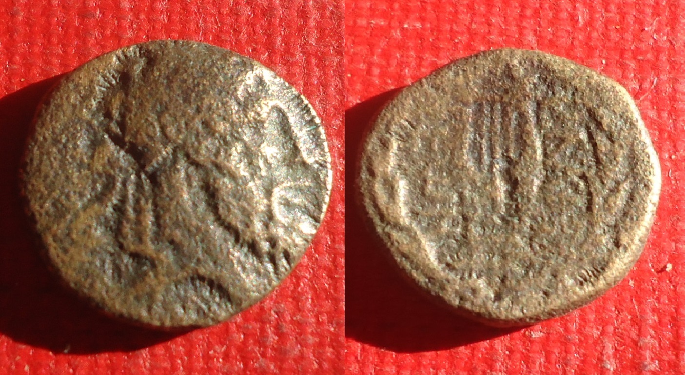 Philadelphia - Zeus Lyre  Oct 2019 lot (0).jpg
