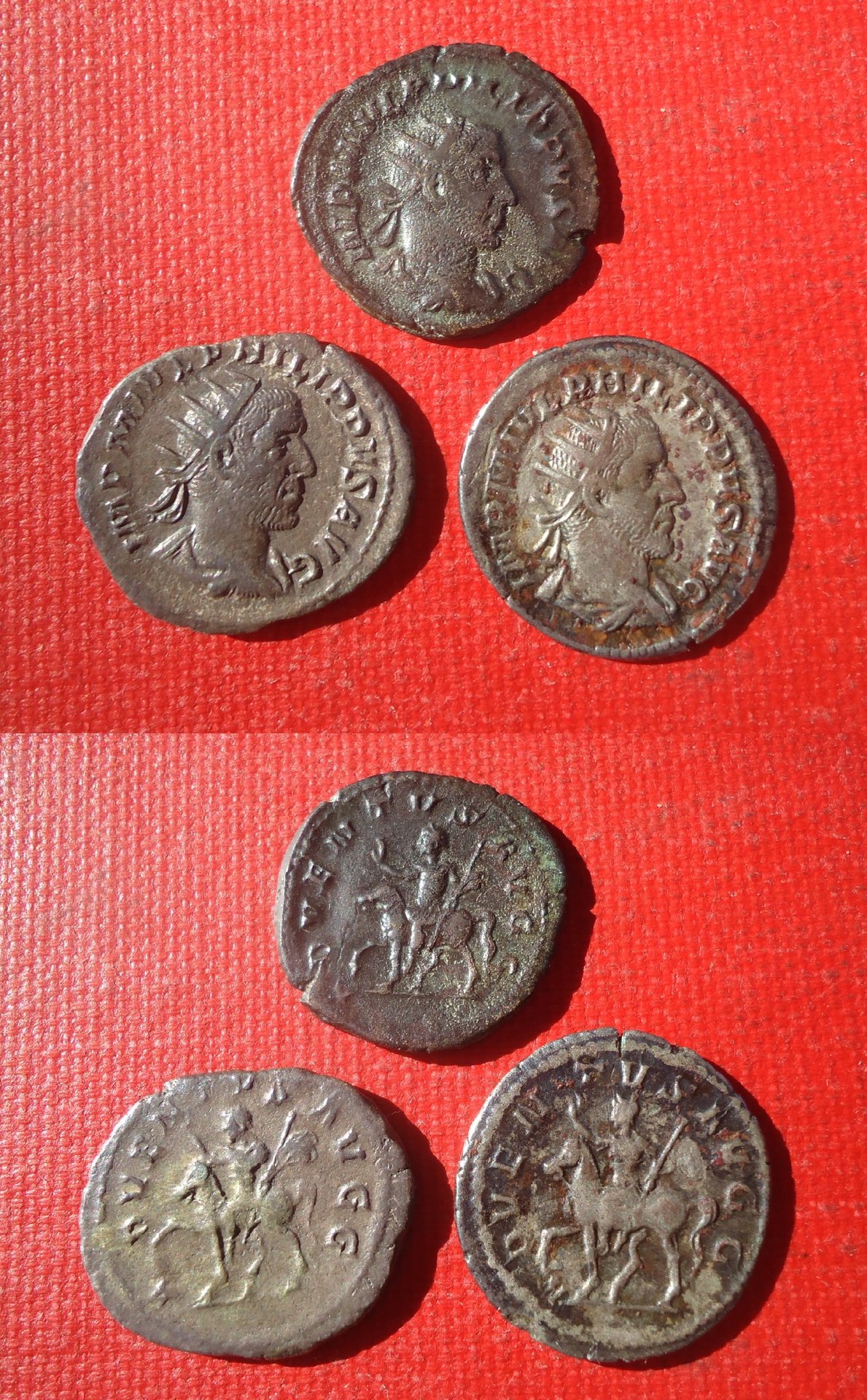 Philip I - ADVENTVS all 3 Aug 19 (0).jpg