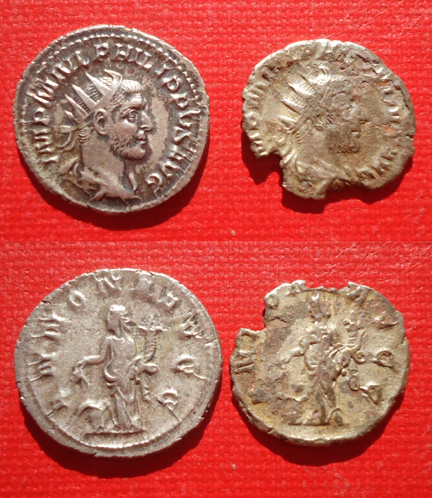 Philip I ANNONA fourree & not Nov 18 (2).JPG