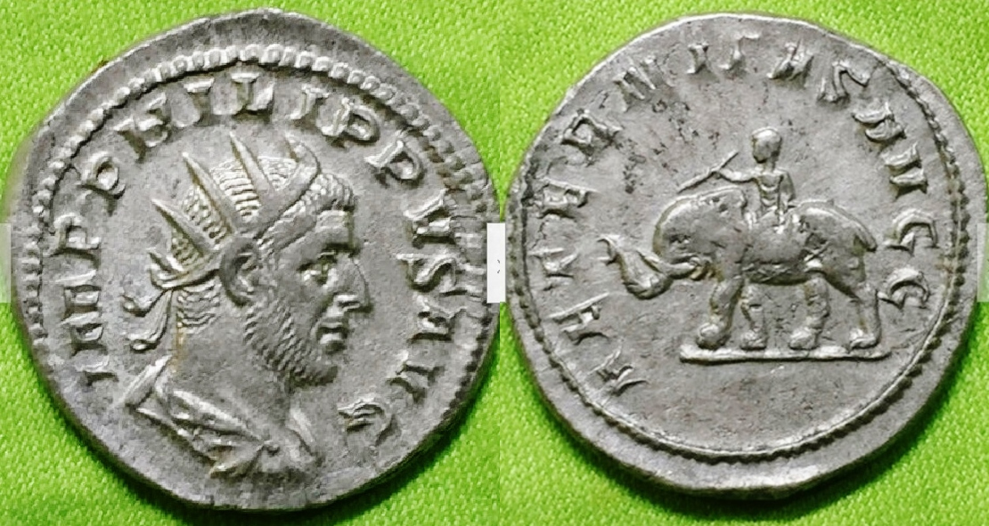 Philip I elephant combined image.jpg