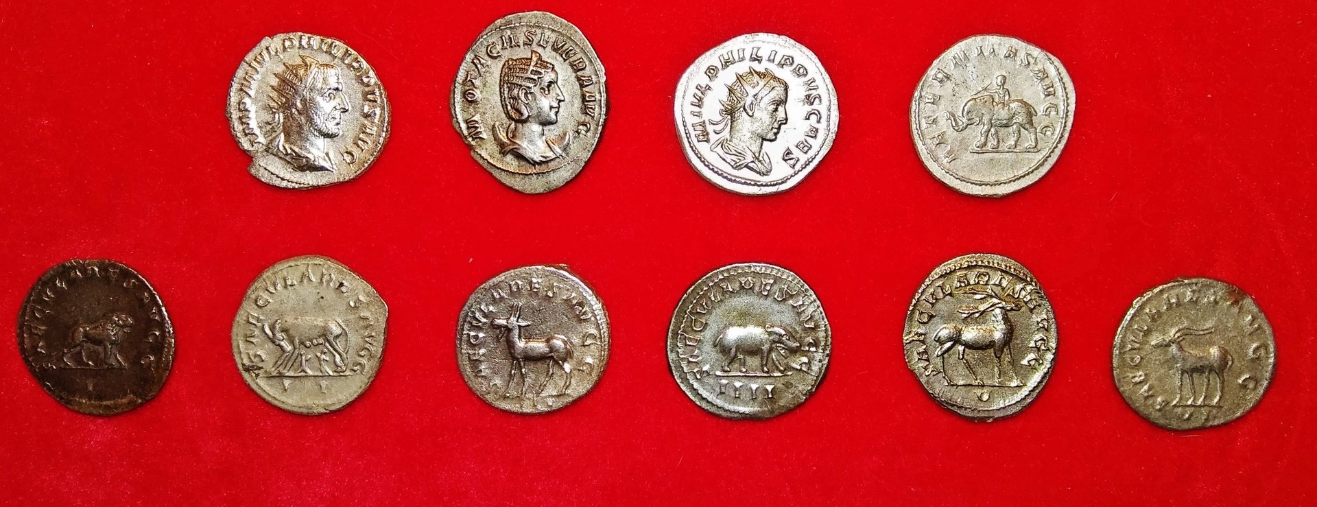 Philip I & family coins with animal reverses 2.jpg