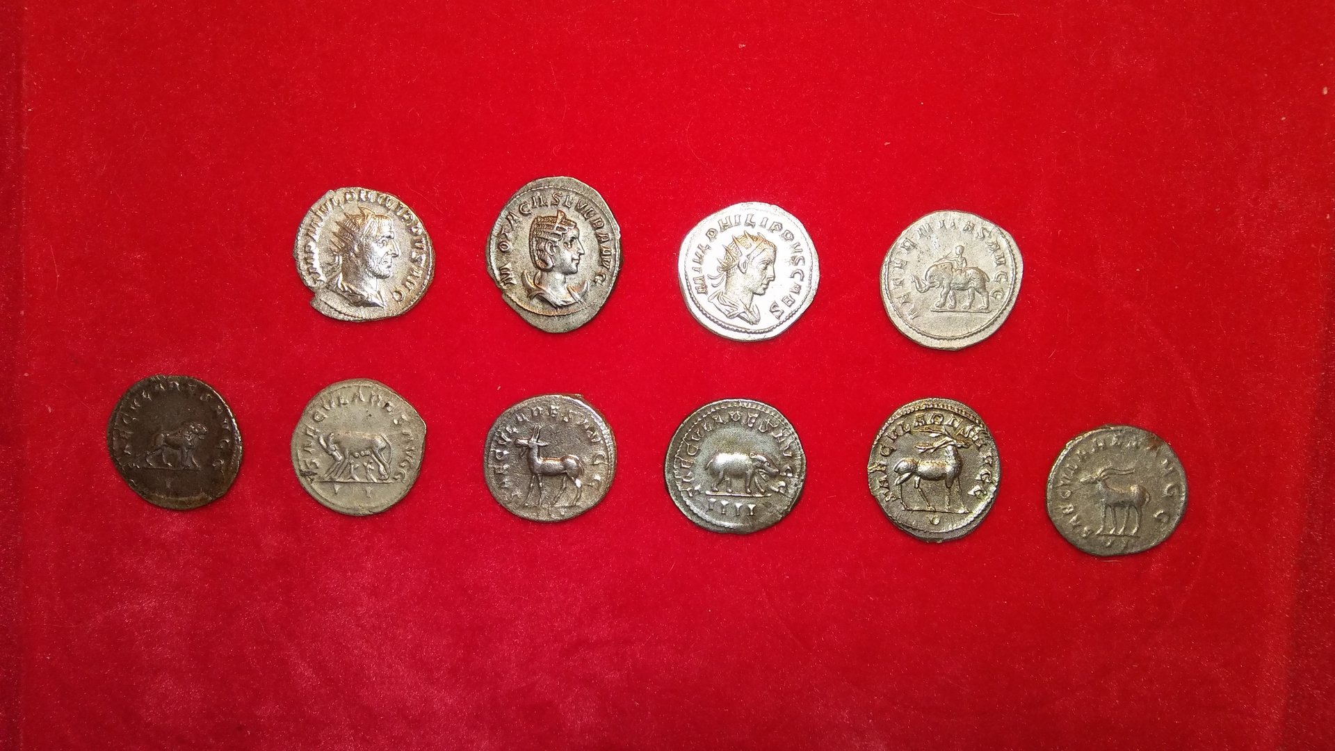 Philip I & family coins with animal reverses 2 (orig. version).jpg