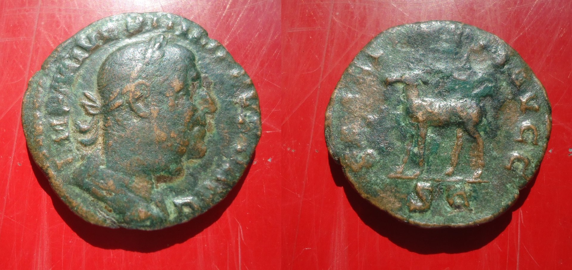 Philip I Sest Antelope Jun 2018 (0).jpg