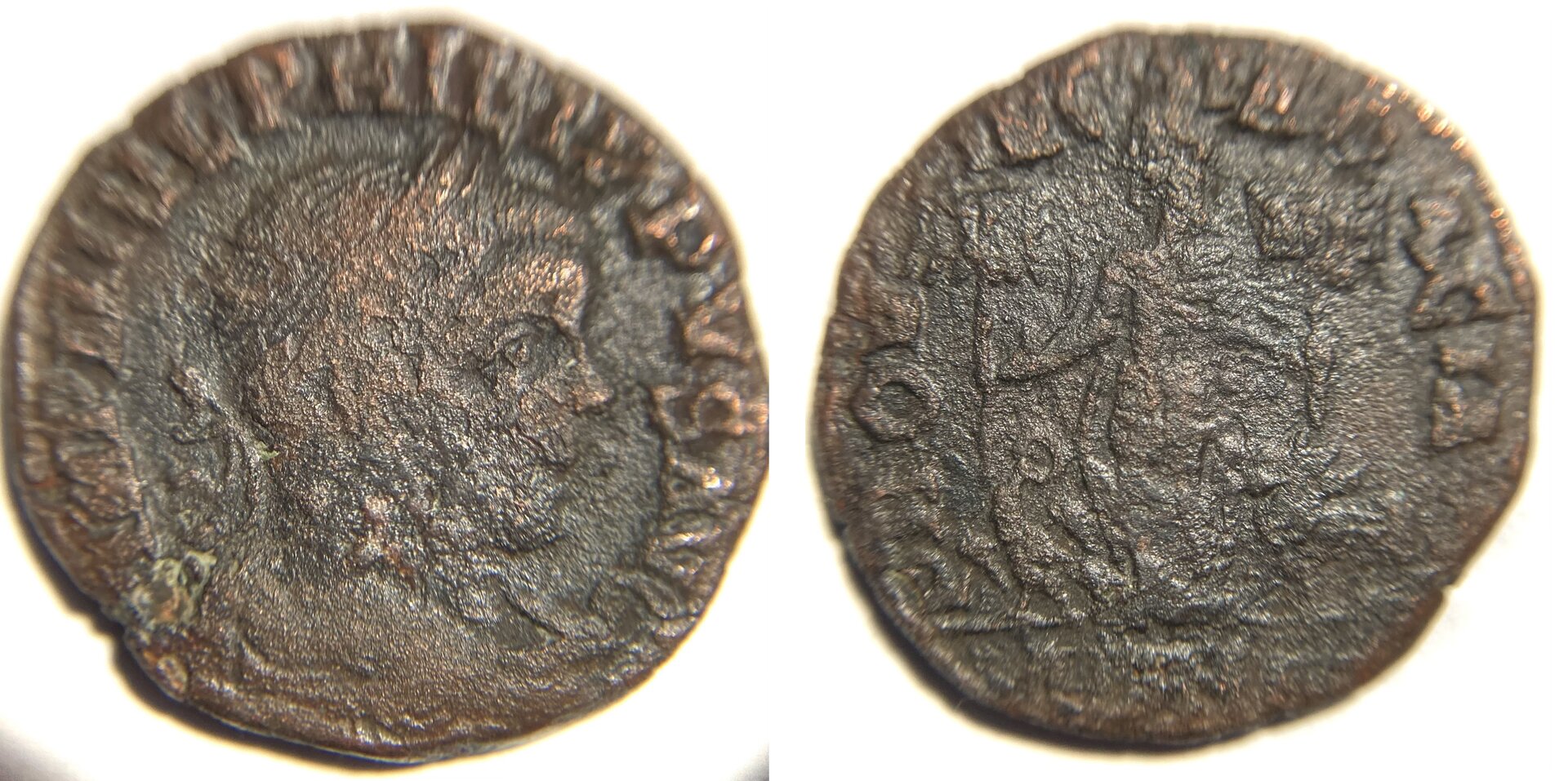 Philip II Dacia.JPG