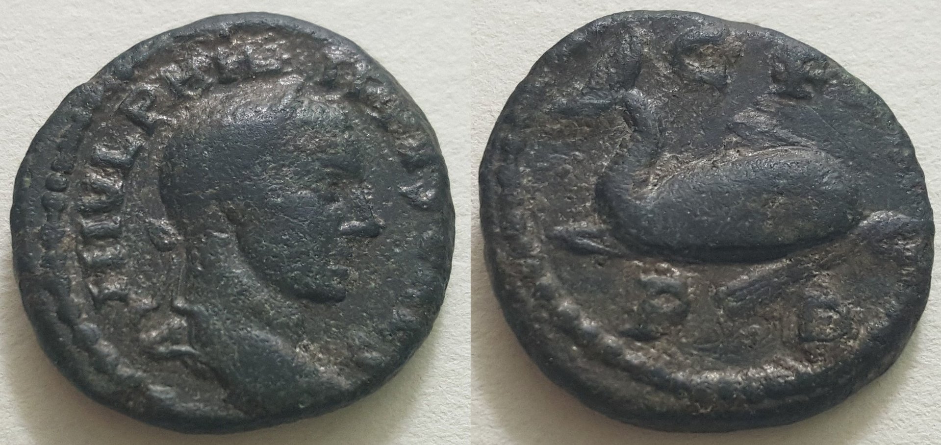 Philip II Deultum Dolphin AE17.jpg