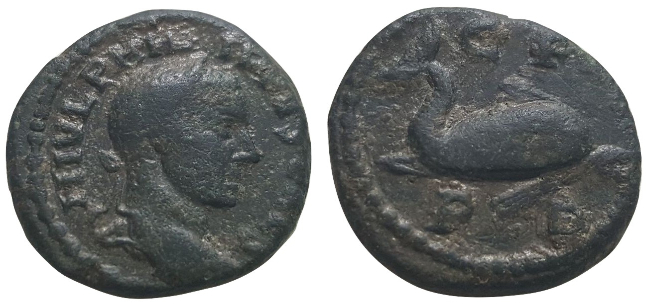 Philip II Deultum Dolphin AE17.jpg