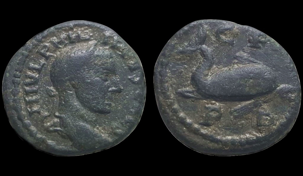 Philip II Deultum Dolphin AE17_burned (2).jpg