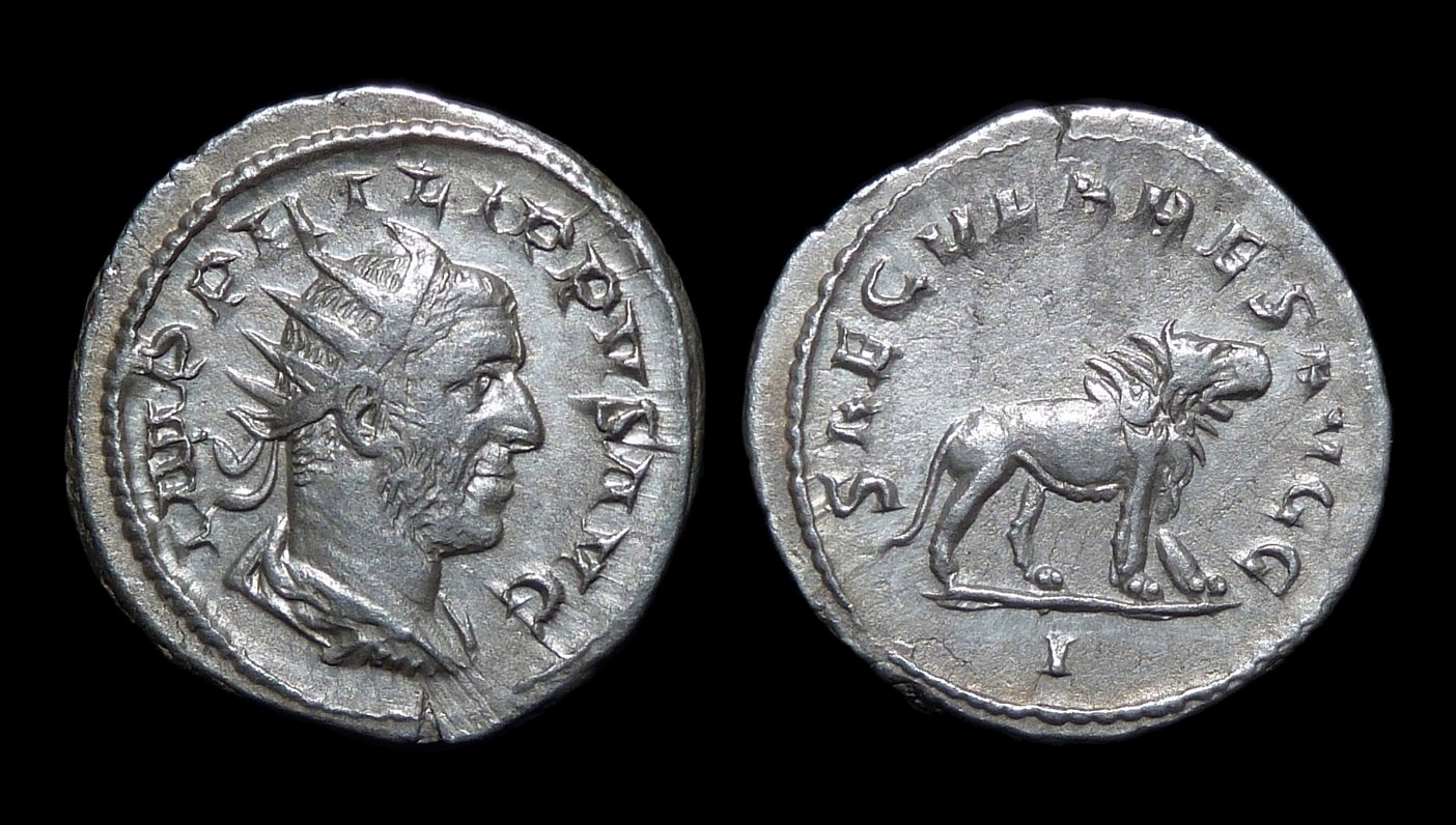 Philip the Arab - 1000th Lion 3085.jpg