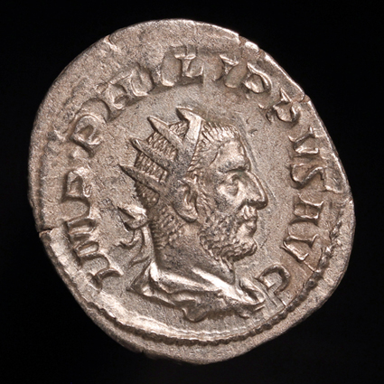 Philip1SecularStag425O2.jpg