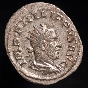 Philip1SecularStagO2x339.jpg