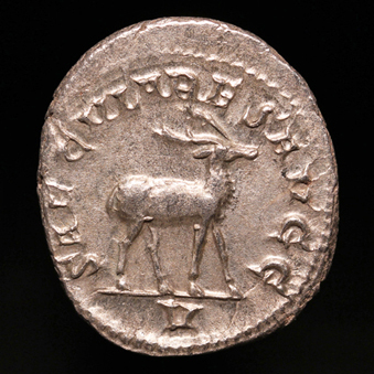 Philip1SecularStagR1x339.jpg