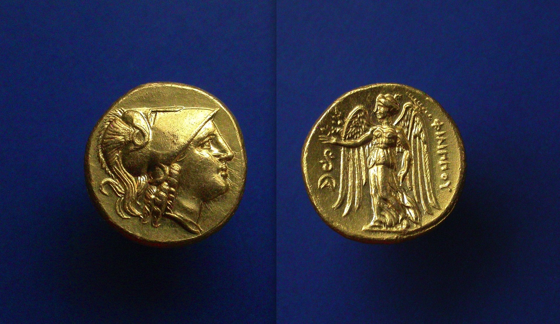 philiparhid4.jpg