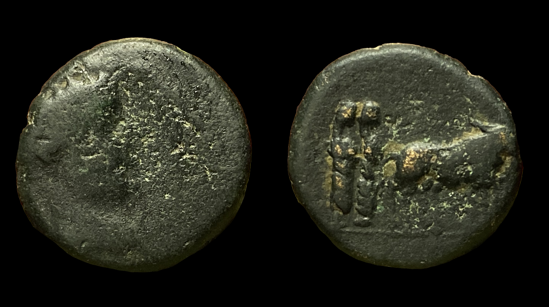 philippi43.png